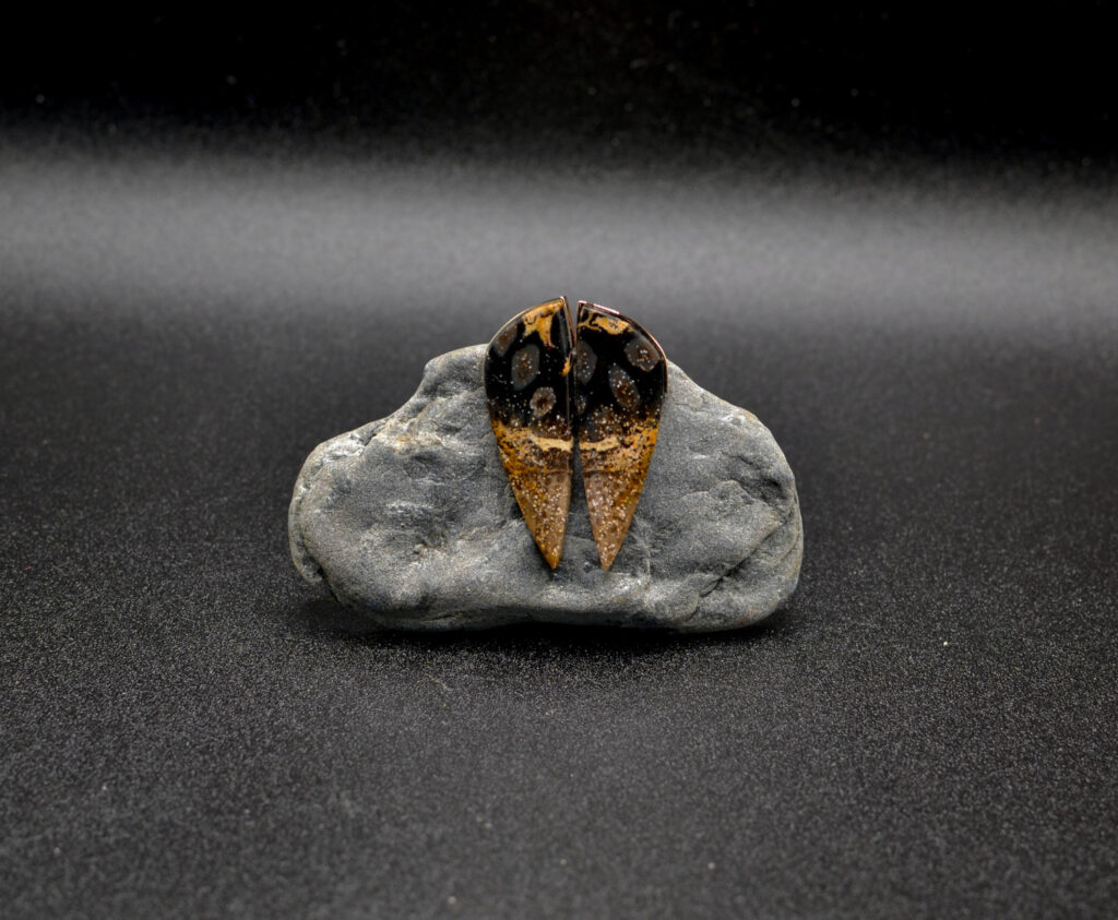 Kõrvarõngad - kuld ja kivistunud puit