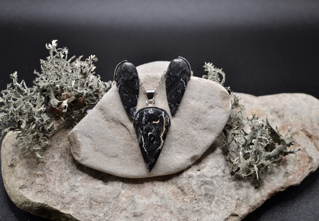 komplekt hõbe ja kivistunud puit