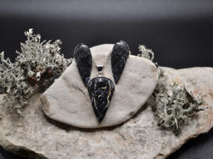 komplekt hõbe ja kivistunud puit